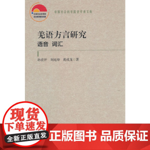 羌语方言研究(语音 词汇)