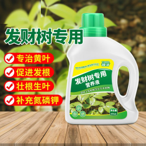 [补贴10%]发财树营养液专用肥花肥料盆栽植物金钱树土水培通用种植养花土壤