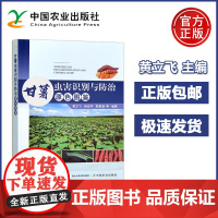 甘薯虫害识别与防治原色图鉴 黄立飞房伯平陈景益 虫害的分布与危害为害症状形态特征生活习性和防治方法 中国农业出版社