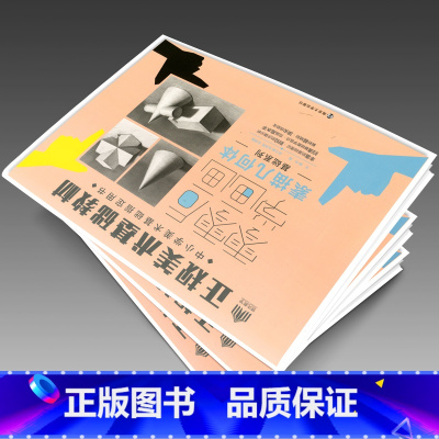 [正版]零零后学画画 素描几何体正规美术基础教程画室培训零基础绘画美术书籍00后