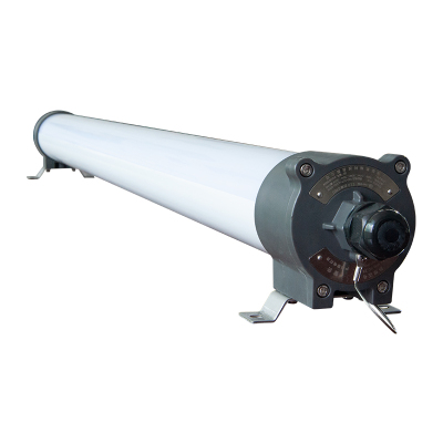 CARY KLE1010 50W IP66 6000K 220VAC LED防爆泛光灯 (计价单位:盏) 灰色