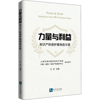 [M]力量与利益 知识产权保护案例启示录-9787513065498