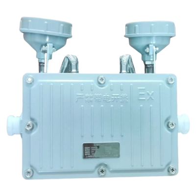 鄂远(EYUAN) EY-W6229 2*3W 应急灯