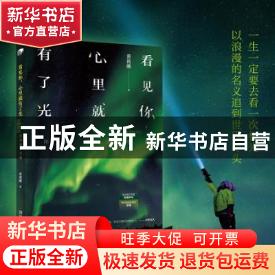 正版 看见你,心里就有了光:环球极光攻略 黄莉娜 金城出版社 97