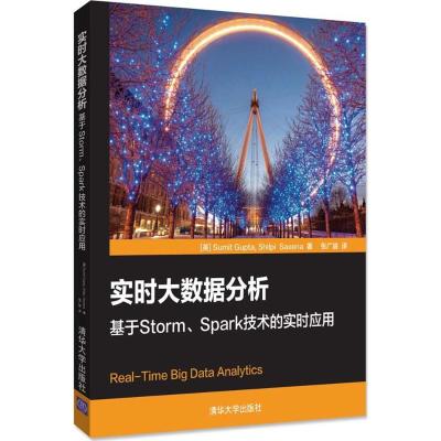 实时大数据分析