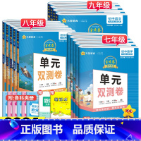 [人教版]语数英3科 九年级下 [正版]2024金考卷七年级八九年级上册下册语文数学英语物理化学人教版北师华师版活页题选
