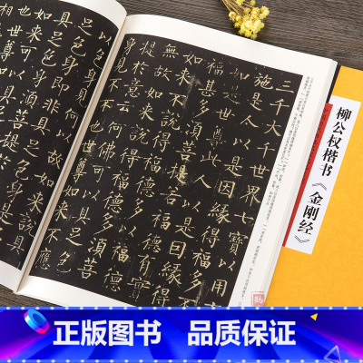[正版]书籍 柳公权楷书 中国历代书法名家名品系列 吴行编 柳体毛笔楷书书法字帖临摹范本 简体旁注 中国唐代 河南美术