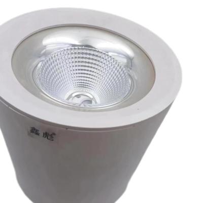 鑫彪LED明装筒灯CYTD-100W/盏