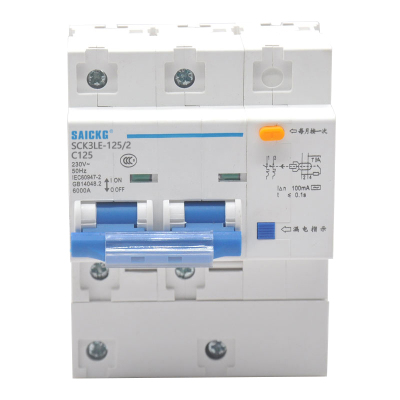 赛驰科技(SAICKG) SCK3LE-125/2 2P C125 低压漏保空气开关 (单位:台)