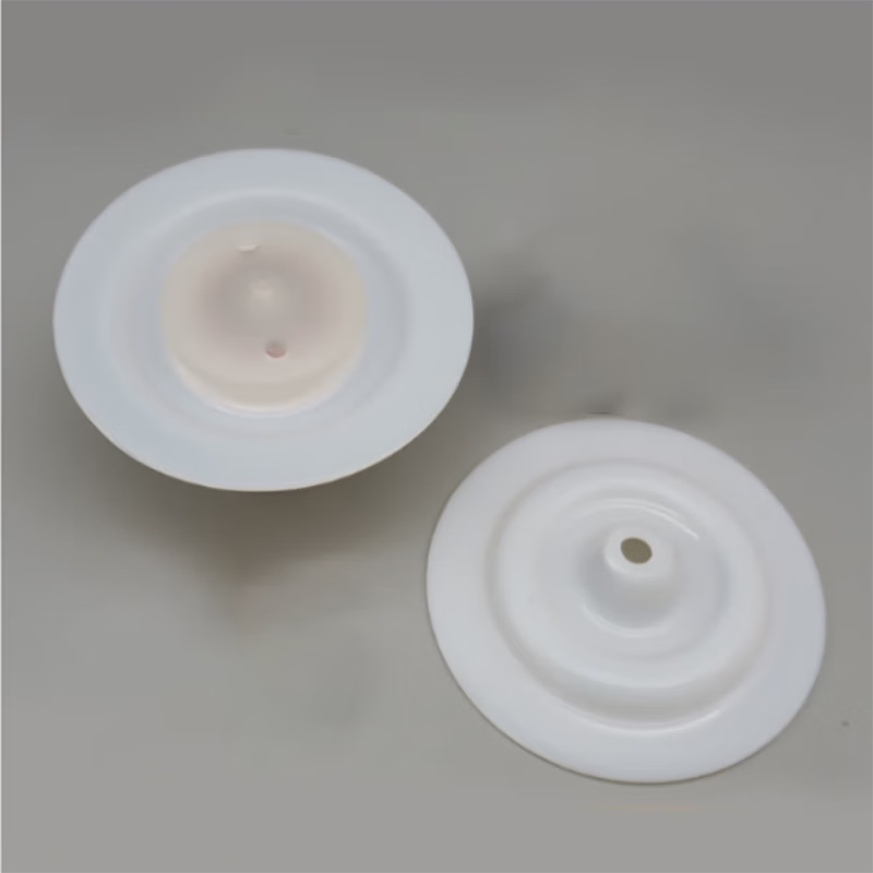 天臣玖号 PAC加药泵膜片GM0330PQ1MNN膜片