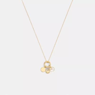 COACH水果吊坠项链女黑盒包装苹果葡萄番茄造型锁骨链 cm