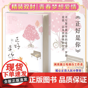 正版精装丨正好是你 江天雪意现代题材小说电视台工作者×人民小警察 关于青春、梦想、爱情甜文小清新都市言情小说记忆坊文学书