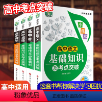 (全4册)高中语数英基础知识及考点突破 [正版]高中语数英基础知识大全及考点突破语文数学英语基础知识手册新版高一高二高三