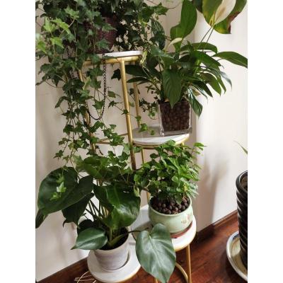 北欧花架客厅现代花架子简约绿萝落地式轻奢多层置物架室内花盆架 三层黑色 特大