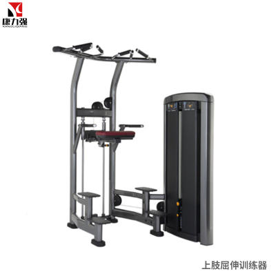 康力强LS506商用助力式单双杠辅助引体向上臂屈伸训练局部型力量器械