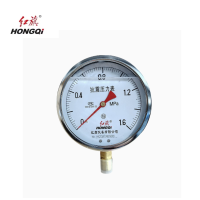 红旗 耐震压力表定制检测款YTN150 (压力值需备注)块
