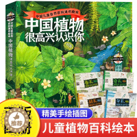 [醉染正版]中国植物很高兴认识你 正版全套4册植物科普类书籍小学生阅读儿童自然百科通识绘本读物兴趣课外书植物学科学知识鉴