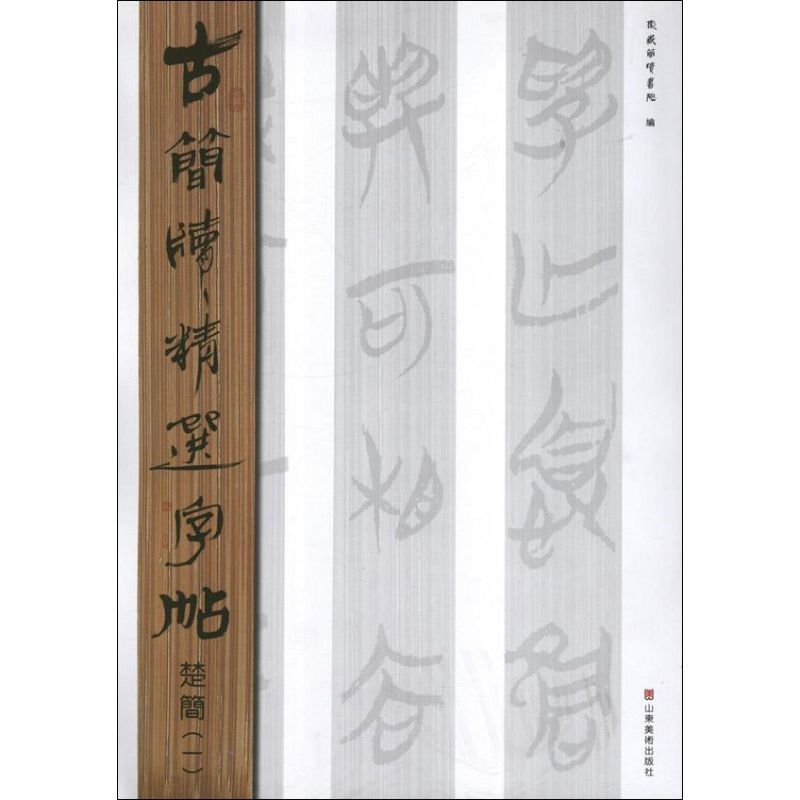 醉染图书楚简(1)古简牍精选字帖9787533038847