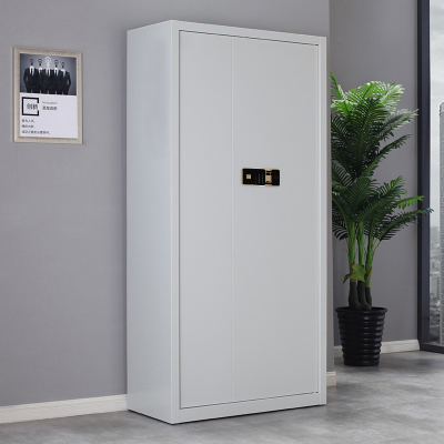 翌嘉 YJ-20057 保密柜档案柜资料柜通门指纹密码锁