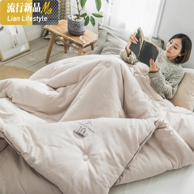 简约棉提花大豆纤维被芯春秋被 秋冬加厚保暖单人双人冬被 三维工匠被子