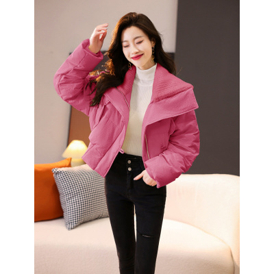 年新款羽绒棉服女冬季短款韩版宽松棉衣小个子设计感学生棉袄