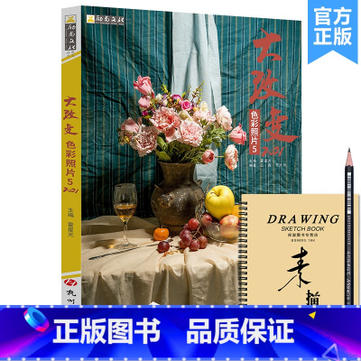 [正版]大改变色彩照片5修订版 2021励尚文化江磊王大为单体组合水果蔬菜花卉杂物水粉色彩静物照片写生对画美术绘画美院