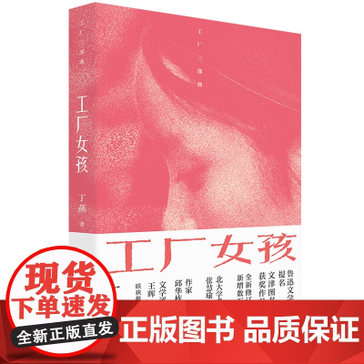 工厂女孩 丁燕著 中国工人出版社出版 鲁迅文学奖提名 北大学者张慧瑜作序 作家邱华栋文学评论家王晖联袂