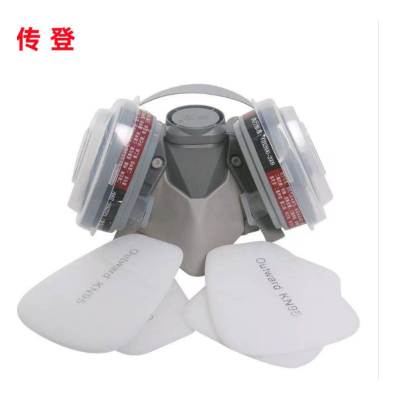 传登普达410自吸过滤式面具+10片过滤棉 套