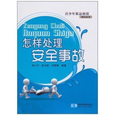 正版新书]怎样处理安全事故郑小平9787802120792