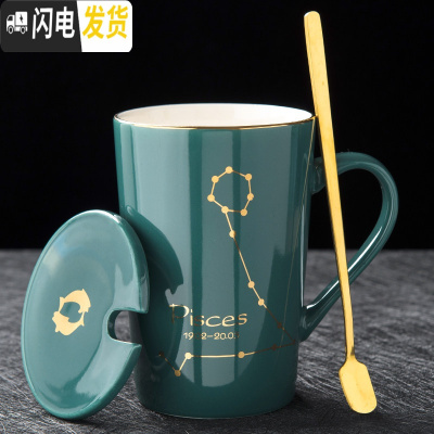 三维工匠创意星座陶瓷水杯个性带盖勺男女学生杯子家用咖啡杯情侣杯马克杯 双鱼座-普通包装咖啡器具