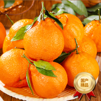 [熊猫鸟]四川不知火柑橘 净重5斤 特大果 单果80mm+ 箱装 丑橘 橘子 新鲜应季水果