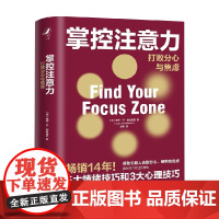 掌控注意力 打败分心与焦虑 露西 著 心理学
