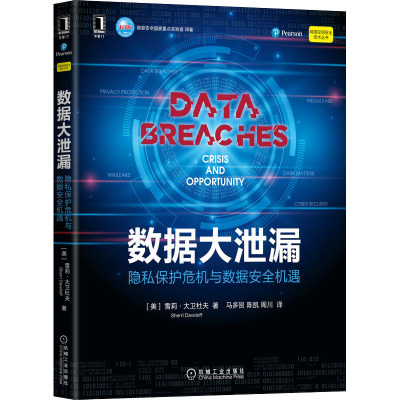 数据大泄漏(隐私保护危机与数据安全机遇)/网络空间安全技术丛书