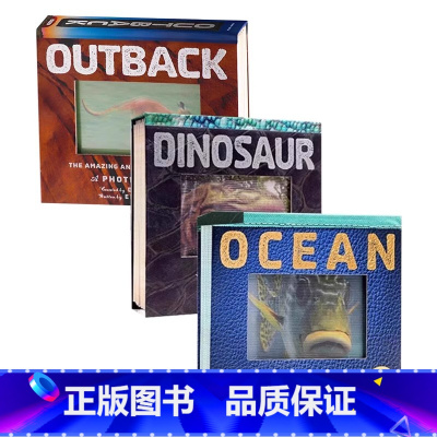光与影视觉翻翻书3册 [正版]光与影视觉3D动画书 英文原版绘本 Dinosaur/Jungle/Ocean a Pho
