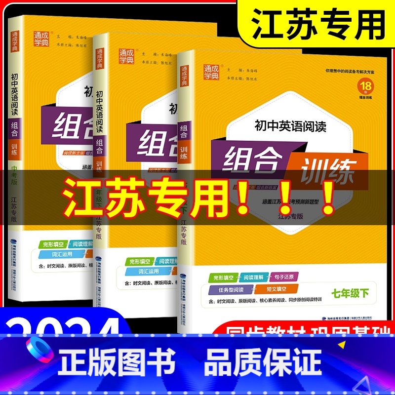 听力组合训练 九年级/初中三年级 [正版]江苏2024初中英语阅读组合训练七八九年级中考语文下册上册苏教版初一二三课外完