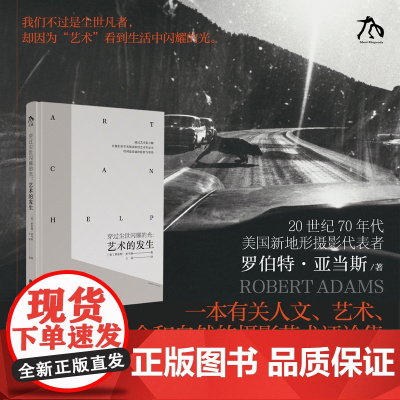 穿过尘世闪耀的光:艺术的发生 Art Can Help 罗伯特·亚当斯 人文、艺术、社会和自然的摄影艺术评论集