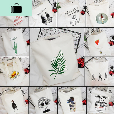 新款帆布包女学生韩版补习袋百搭小清新手提包可爱简约文艺单肩包NEW LAKE女士单肩包