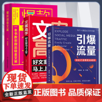 引爆流量轻松打造短视频 文案高手 文案 3册 公域引流与私域裂变实战手册 实现全网引流 私域积累 流量时代 营