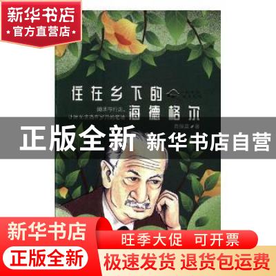 正版 住在乡下的海德格尔 袁恒雷著 北方文艺出版社 978753174298