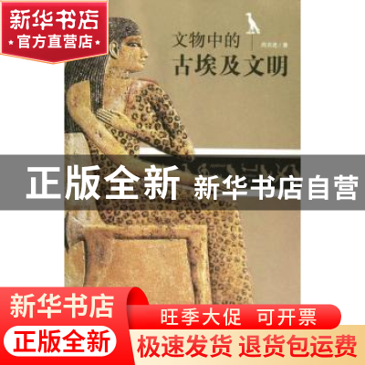 正版 文物中的古埃及文明 周启迪著 商务印书馆 9787100076920 书