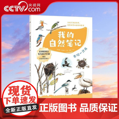 [央视网]我的自然笔记 发现一只鸟 2024版 让孩子受益终生的自然生命教育书 湖南文艺出版社 TJ