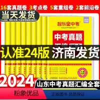 24版 中考语文真题试卷 山东省 [正版]山东专版2024版智乐星山东中考真题汇编语文数学英语物理化学政治历史地理生物超