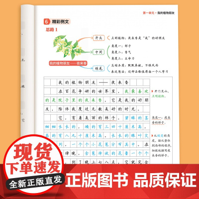 三年级下册同步作文人教2025新版小学3下语文部编版上册小学生优秀分类作文书大全仿写素材积累写作训练技巧满分五感法范文斗