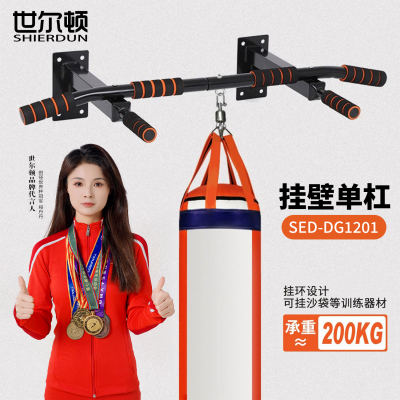 世尔顿(SHIERDUN) 墙壁单杠 SED-DG1201 个