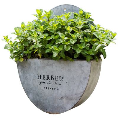 家柏饰(CORATED)经典半圆复古铁艺壁挂花篮 花器花盆 杂货花园装饰ZAKKA