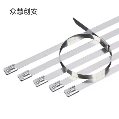众慧创安 不锈钢扎带 7.9*1000mm 个