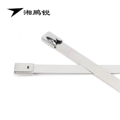 湘鹏锐 防护栅栏扎带(304不锈钢) 12*300mm 条