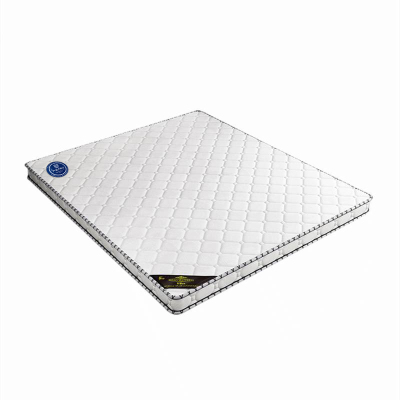 普拉塞(Plasser) 天然椰棕床垫棕垫 1200mm*2000mm