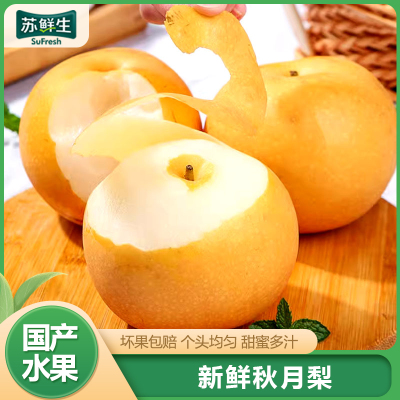 [苏鲜生]新鲜山东秋月梨 净重3斤单果250g+ 新鲜当季水果 现摘现发