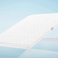红秀世纺 HXGD006 100*195*5cm 椰棕/乳胶 床垫 1 件/个(计价单位:个) 白色